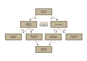 Graphic of nitrogen contribution to crops